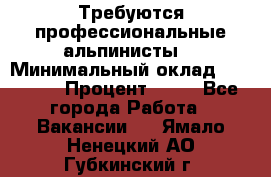 Требуются профессиональные альпинисты. › Минимальный оклад ­ 90 000 › Процент ­ 20 - Все города Работа » Вакансии   . Ямало-Ненецкий АО,Губкинский г.